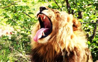 Thumbnail Placeholder