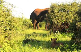 Thumbnail Placeholder